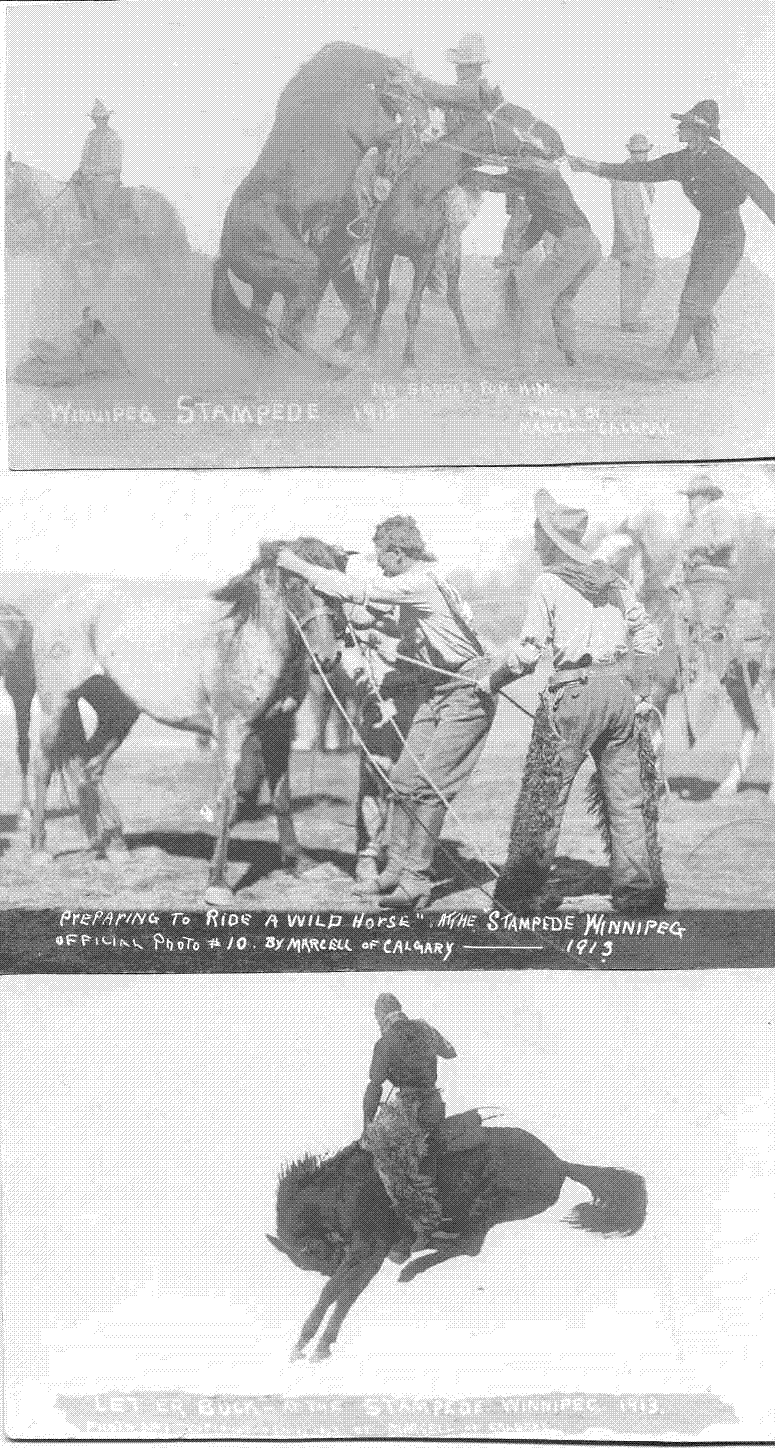 wpgrodeo1913.gif